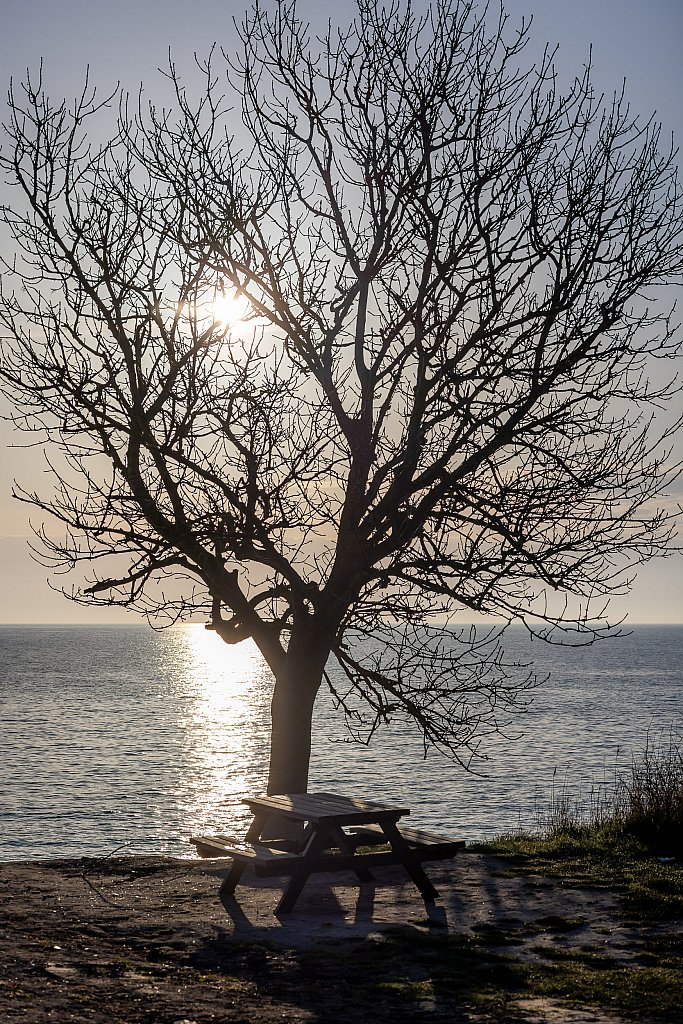 Baltic Sea: image 37 of 46
