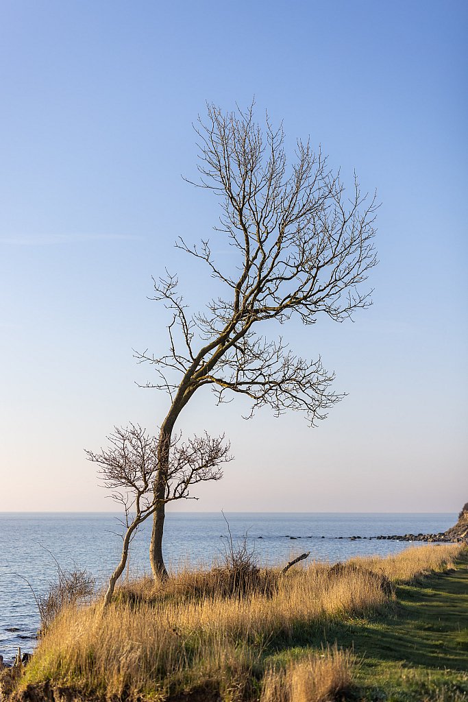 Baltic Sea: image 40 of 46