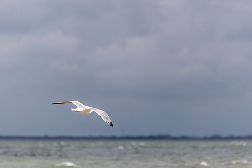 Baltic Sea: image 7 of 46