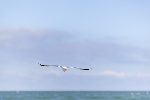 Baltic Sea: image 9 of 46