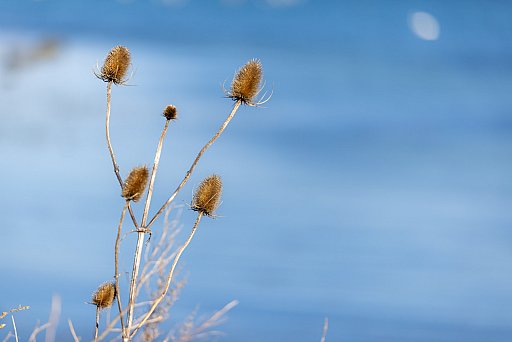 Baltic Sea: image 12 of 46
