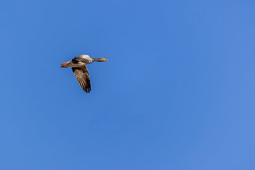 Baltic Sea: image 31 of 46
