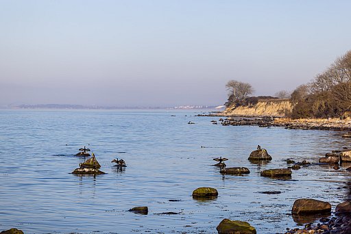 Baltic Sea: image 43 of 46