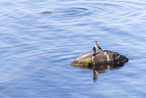 Baltic Sea: image 45 of 46