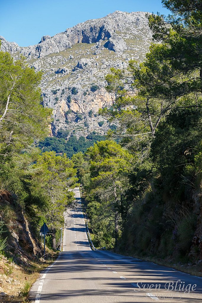 Mallorca II: image 18 of 111