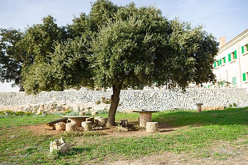 Mallorca II: image 42 of 111